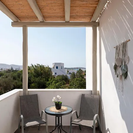 Pounta 2 - Shared Pool